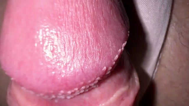 Colega De Quarto Buceta Apertada Cremosa Close-Up Fodida Gozada Nas Calcinhas Mia Foster Sexycloseups