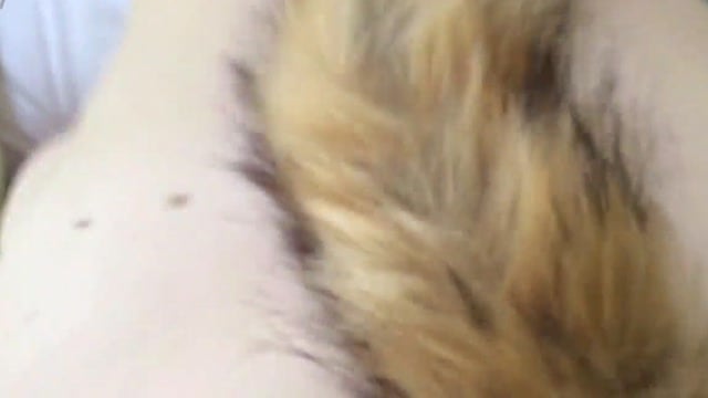 Kane S. Fox E Kendra S. Fox Levam Plug Anal Duplo Com Rabo De Raposa