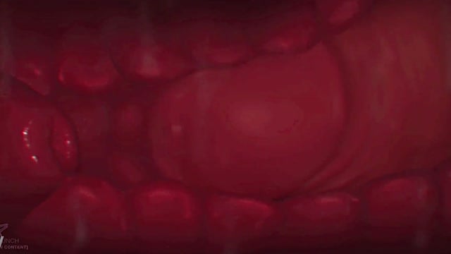 Animated X-Ray Creampie Goes Deep Inside
