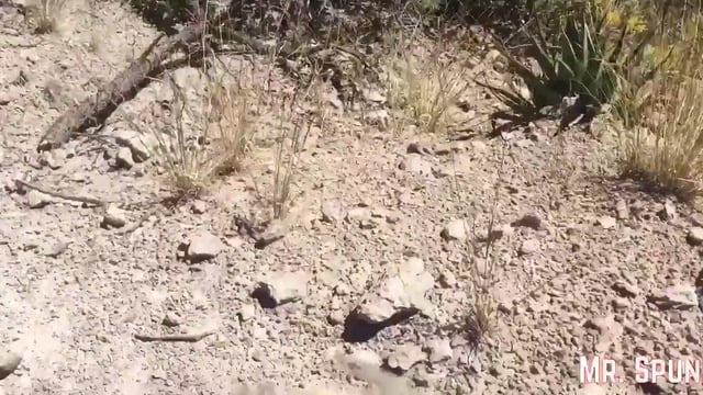 Caminhada Vira Café da Manhã de Porra Para Gostosa Safada