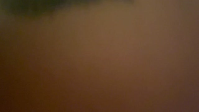 Live POV Oficial Creampie com MILF Amadora Espanhola