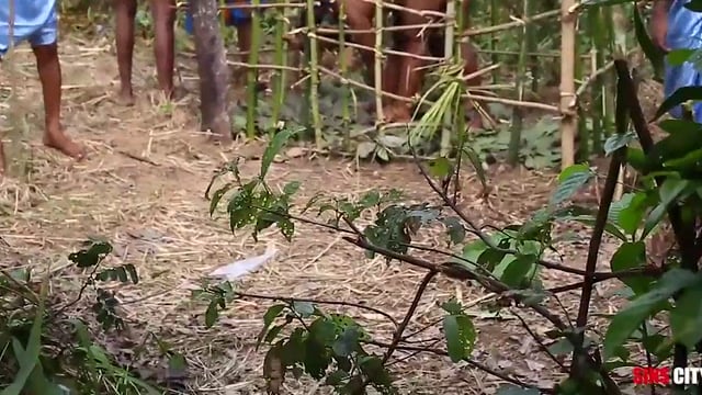 African Big Dick Pounds Noni Raw On Cultural Day