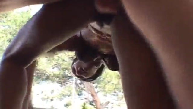 Adina Jewel Gets Her Ass Wrecked By A Huge White Cock