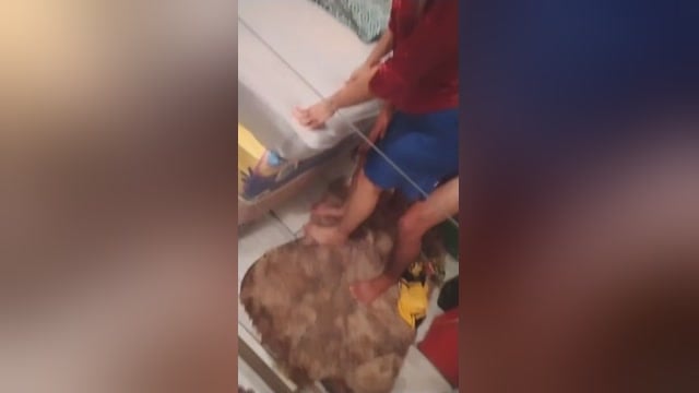 Blue Ruffled Skirt Gets Lifted For A Big Cock